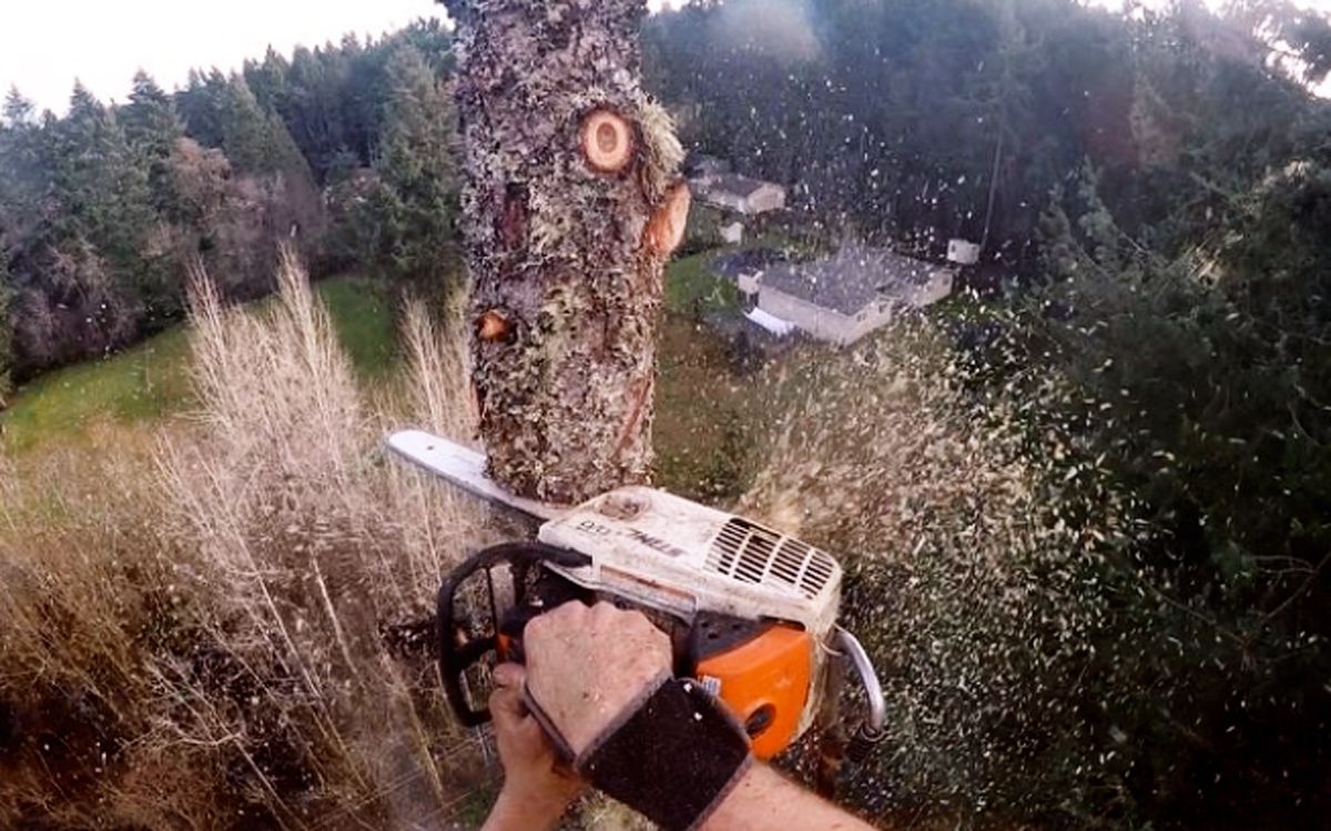Fall prep